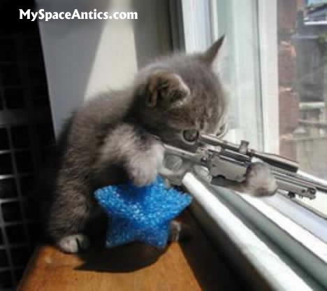 kitty-sniper.jpg